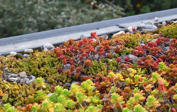 the cost of Ottershaw green roof installation