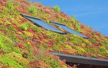 Ottershaw living roof systems